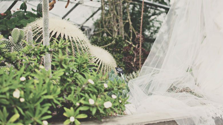 Bodas en Mallorca al aire libre: naturaleza en estado puro