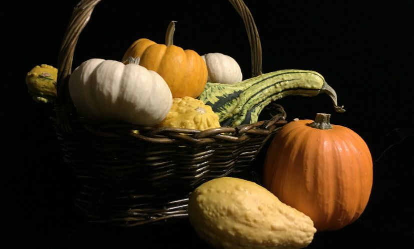 ¿Halloween o fiestas especiales? ¡Siempre con nosotros!